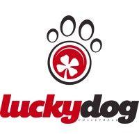 lucky dog volleyball logo image