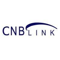 cnblink ltd logo image