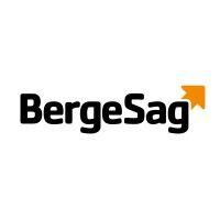 berge sag gruppen logo image