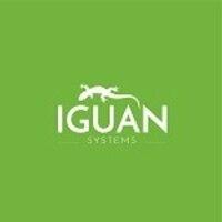 iguan systems llc logo image