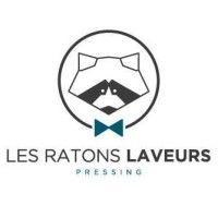 les ratons laveurs logo image