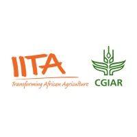 international institute of tropical agriculture (iita)