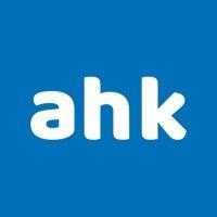 ahinko international logo image