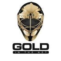 gold in the net hockey schools logo image