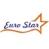 eurostar int contracting llc logo image