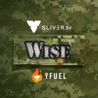 wise gaming logo image