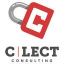 logo of C Lect Consulting