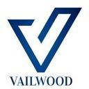 logo of Vailwood Capital Advisory