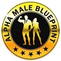 alpha male blueprint logo image