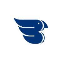 bluebird it solutions ltd logo image