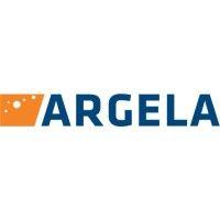 argela technologies