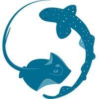 sharklab adria: center for marine and freshwater biology logo image