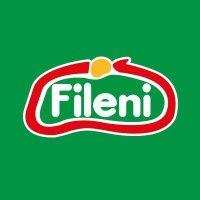 fileni logo image