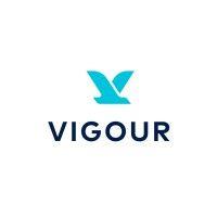 vigour logo image