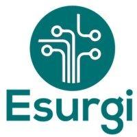 esurgi, inc. logo image