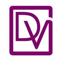 dv studio logo image