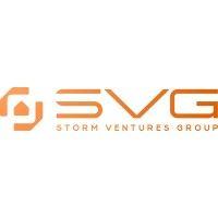 storm ventures group logo image