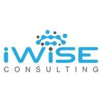 iwise consulting, inc. logo image