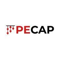 pecap logo image