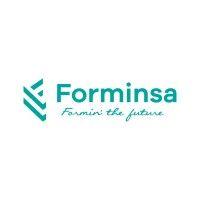 forminsa group logo image