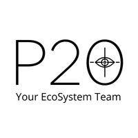 p20 logo image