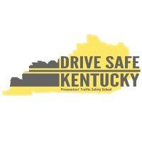 drive safe logo image