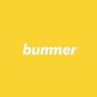 bummer logo image