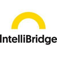 intellibridge logo image