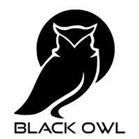 black owl corp, llc