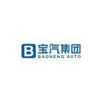 baoneng auto logo image