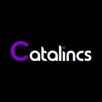 catalincs partners llp logo image