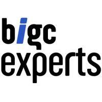 bigc experts logo image