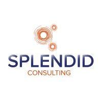 splendid consulting, llc