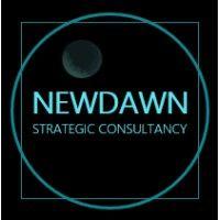 newdawn strategic consultancy logo image