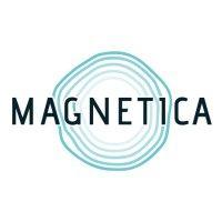 magnetica limited