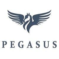 shenzhen pegasus techinfo ltd