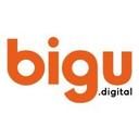 logo of Bigu