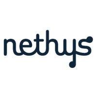 nethys logo image