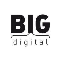 big digital srl logo image