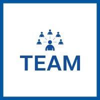 team network logo image