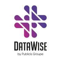 datawise logo image