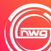 new world group, inc logo image