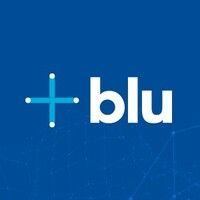 blu logistics brasil logo image