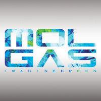 molgas energy holding logo image