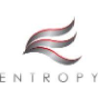 entropy investment management logo image