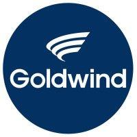 goldwind logo image