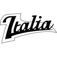 italia guitars usa logo image