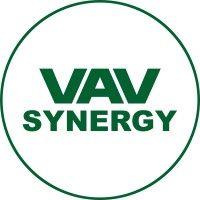 vav synergy partners logo image