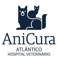 anicura atlântico hospital veterinário