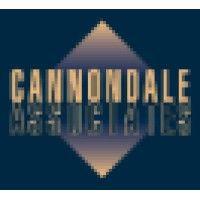 cannondale associates logo image